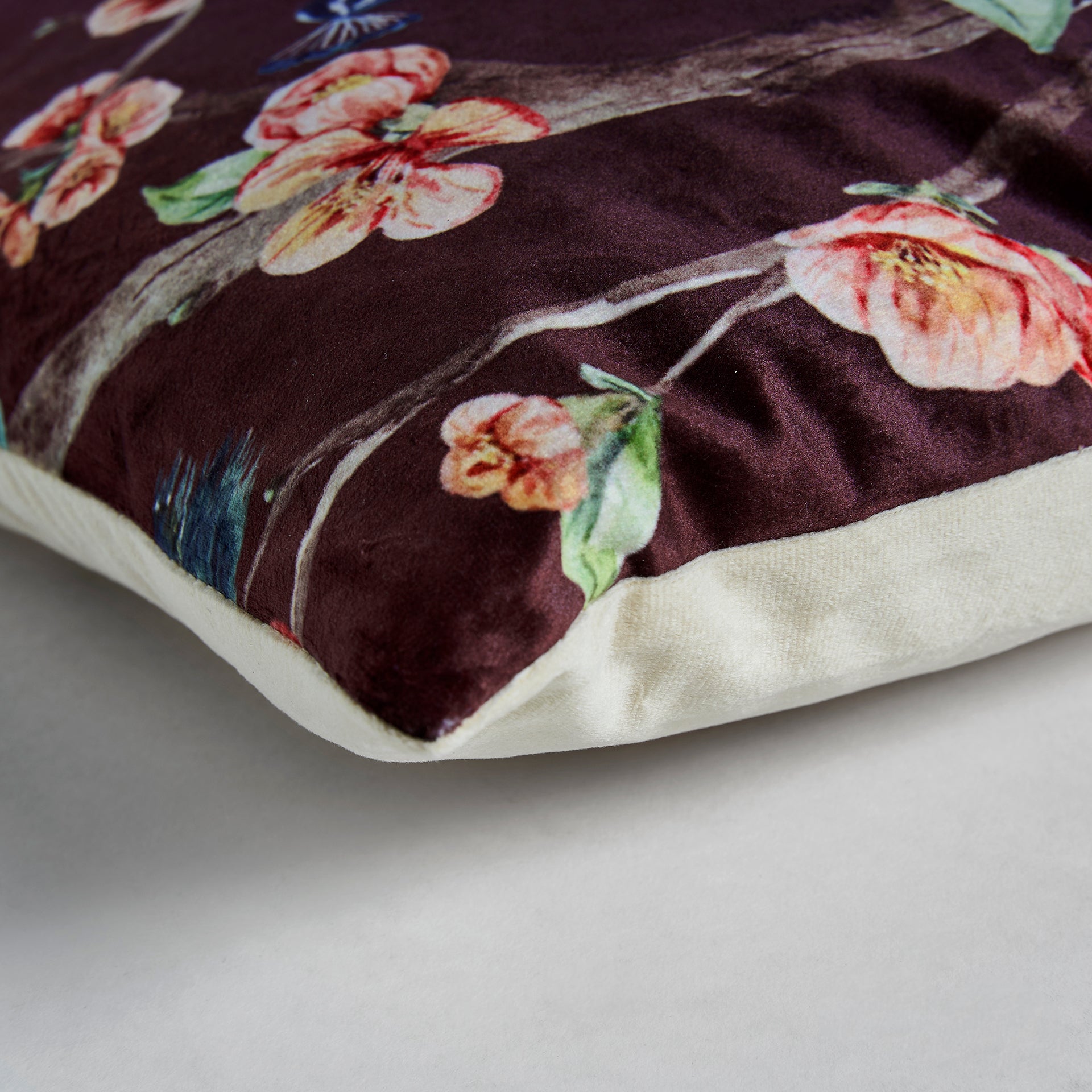 ALE CUSHION